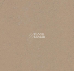 Линолеум Forbo Marmoleum Decibel on Order 372735 drift фото 1 | FLOORDEALER
